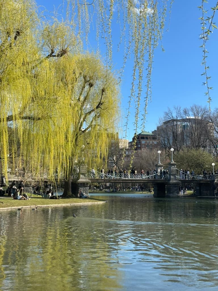 Boston Public Garden in spring